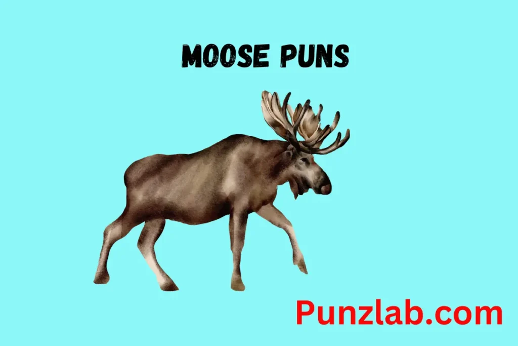 Moose Puns