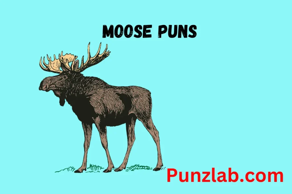 Moose Puns