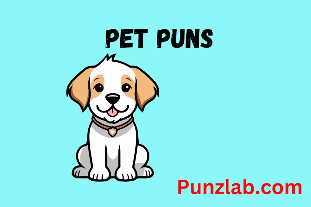 Pet Puns
