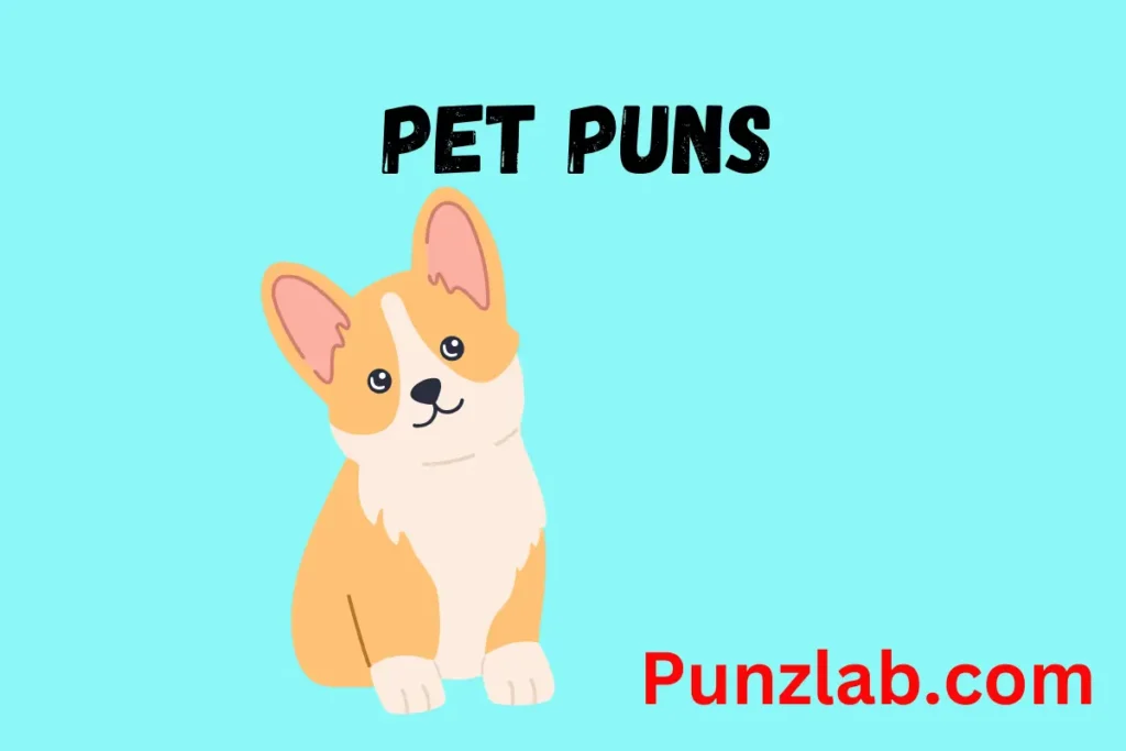 Pet Puns
